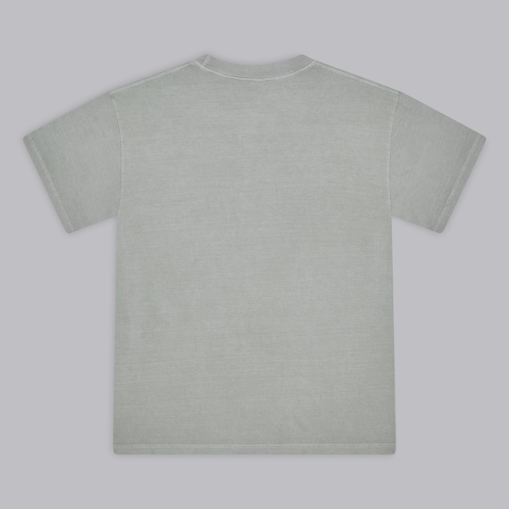 Gray t shirt blank best sale